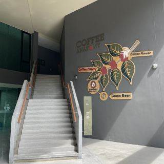 ☕ Cafe Amazon (OASYS) Wang Noi Branch – A rest stop for recharging