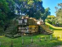 Ancient Jungle Wonders at Tikal National Park