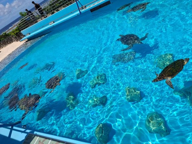 海洋博公園