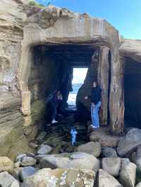 聖地牙哥 La Jolla 拉荷亞海灣 與海獅海豹一起賞日出