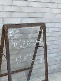 경주 프라이빗 감성 풀빌라 밤부스테이 솔직후기🌲🌿