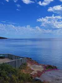 【Hallett Cove Conservation Park｜地質奇觀與海岸漫步的完美融合】