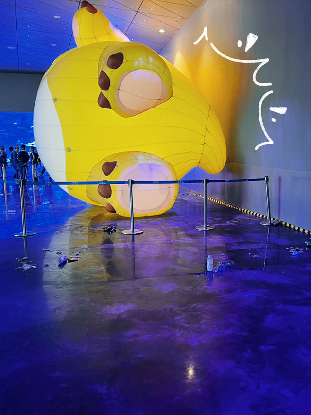 小梅沙海洋世界遊覽體驗：交通不便、設施不足，性價比偏低 
