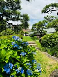 【清澄庭院｜東京深巷裡的幽靜庭園】
