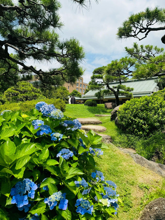【清澄庭院｜東京深巷裡的幽靜庭園】
