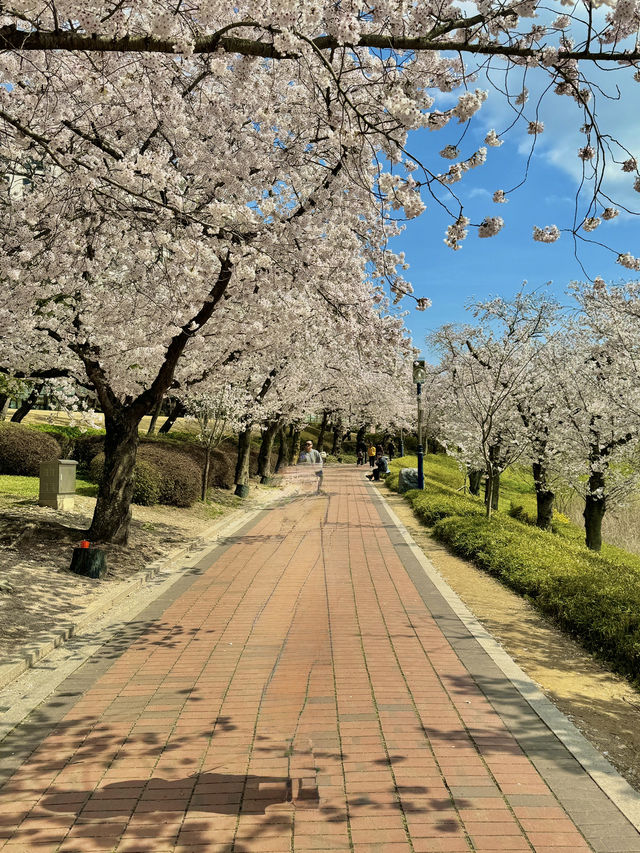 🌸 경주 여행