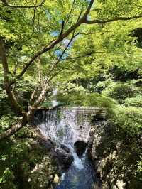 【兵庫 神戸】布引の滝