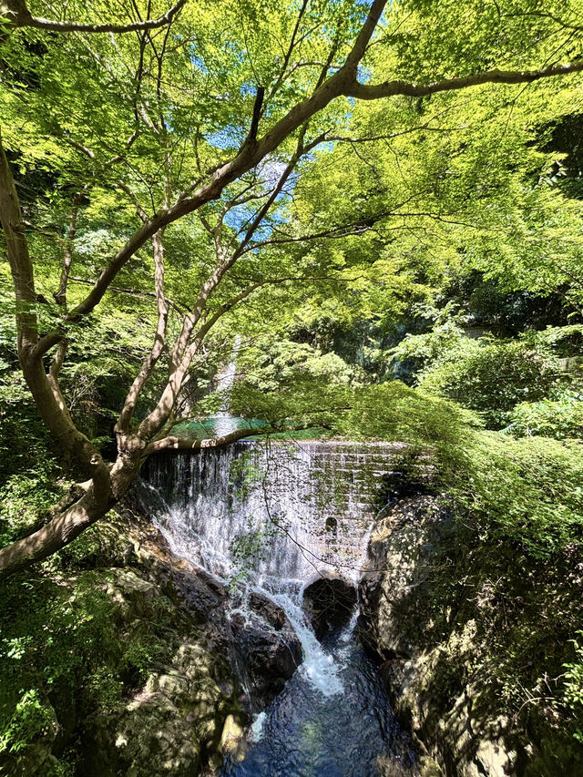 【兵庫 神戸】布引の滝