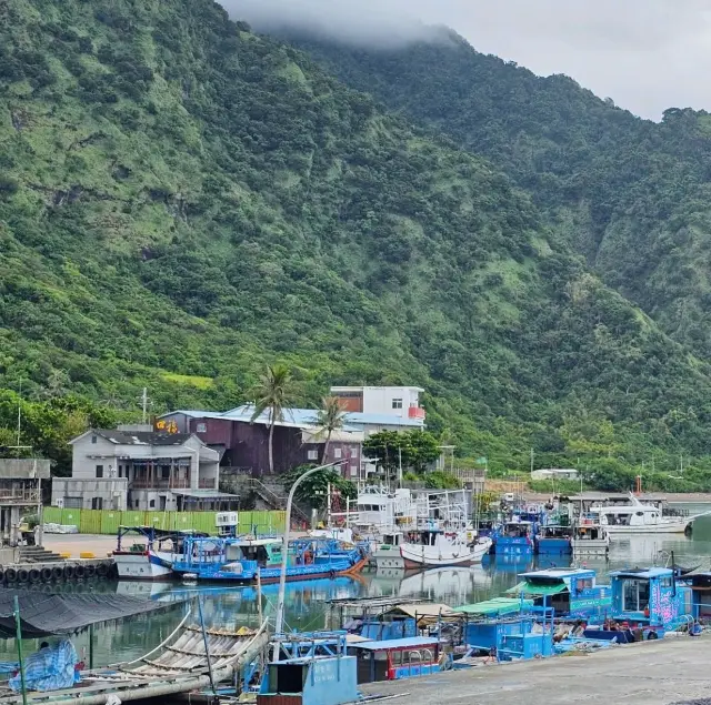 Hualien | The Origin of Whale Watching at Shitiping Harbor