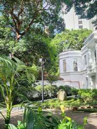 香港公園的陶瓷睡蓮