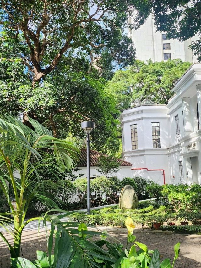 香港公園的陶瓷睡蓮 香港公園的陶瓷睡蓮