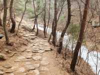 A Walk Through History: My Solo Hike Up Mt. Namsan