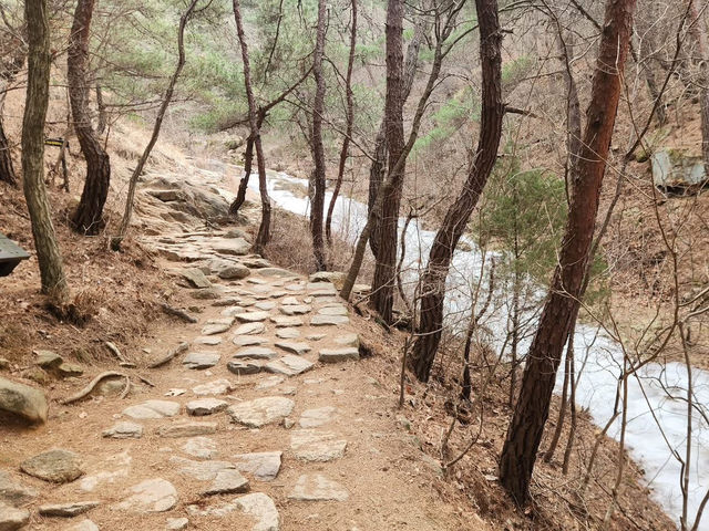 A Walk Through History: My Solo Hike Up Mt. Namsan