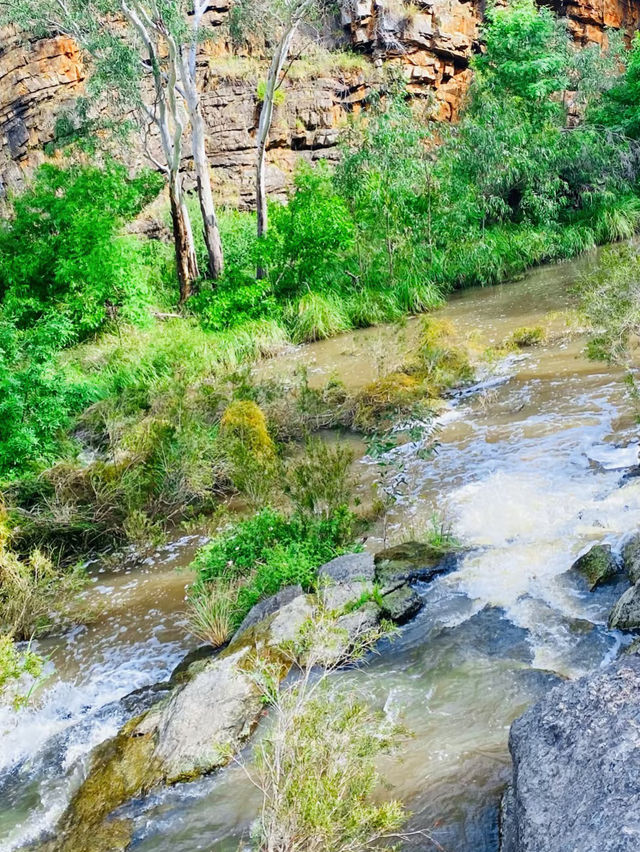 Onkaparinga River National Park: South Australia’s Wild Gorge Escape