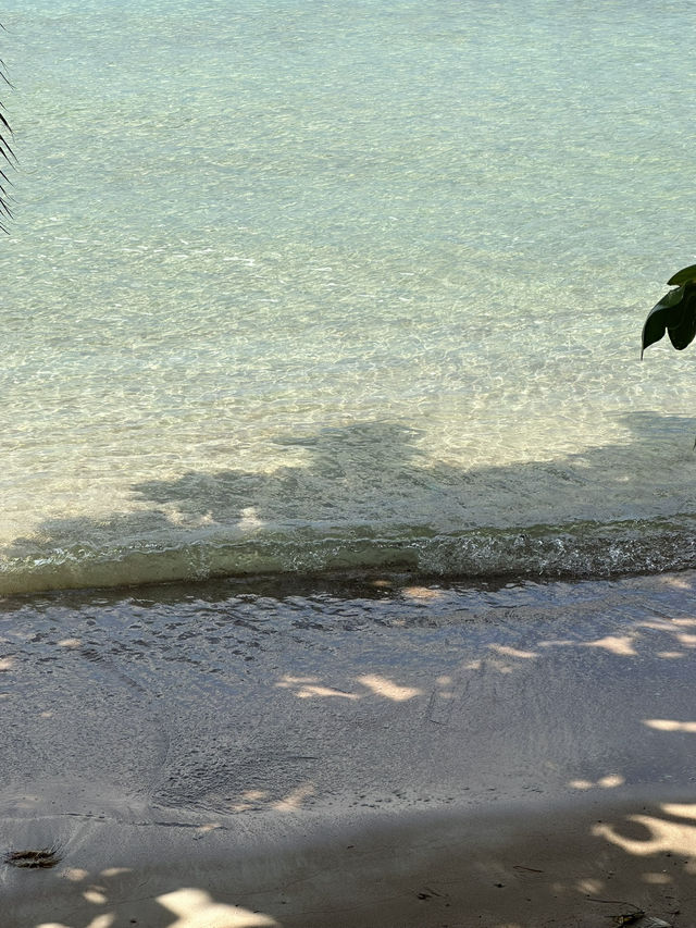 Sai Ri Beach  @Koh Tao💚🏝️