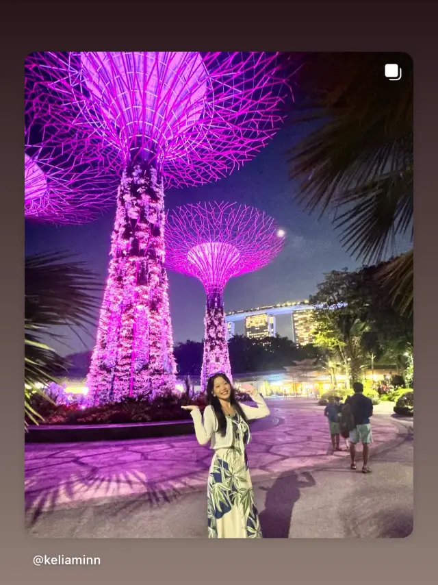 🇸🇬 Gardens by the Bay, Singapore ❤️