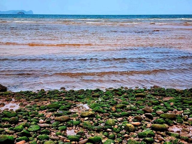 Red Cliffs ที่บางสะพานน้อย