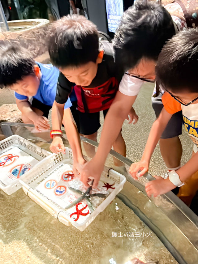 《沖繩親子景點| DMM水族館》