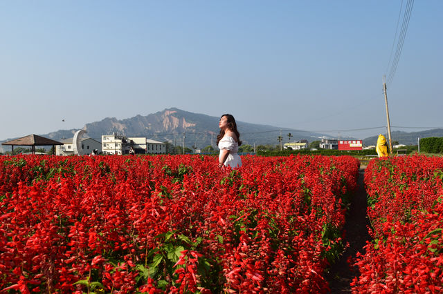 Zhongshe Flower Market in Taichung, Taiwan