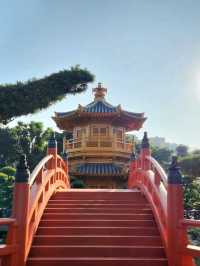 香港禪意半日遊！志蓮淨苑+南蓮園池🏡嘆一陣靜謐禪意😂