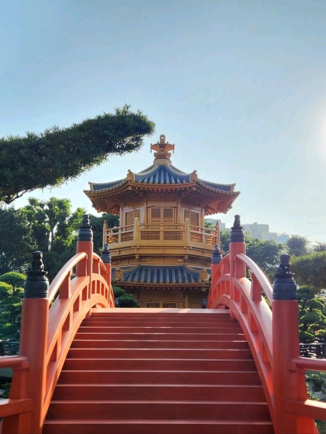 香港禪意半日遊！志蓮淨苑+南蓮園池🏡嘆一陣靜謐禪意😂
