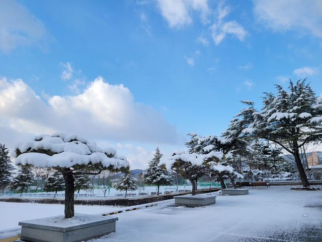 🌲 남원 여행가이드 ✨ 남원 만인의총