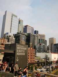 西雅圖城市的亮點❣️：Seattle Great Wheel