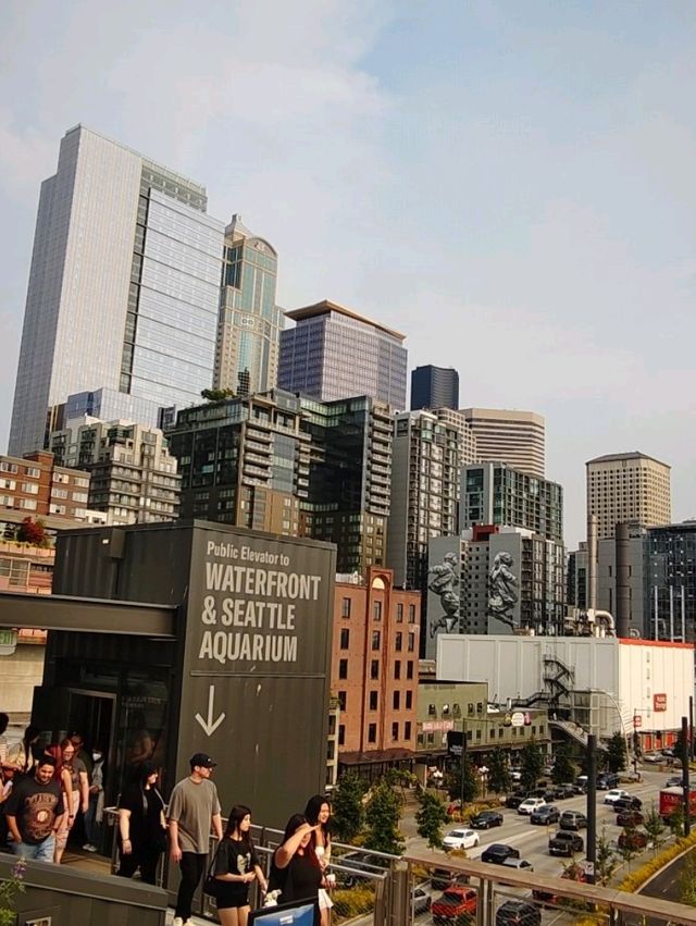 西雅圖城市的亮點❣️：Seattle Great Wheel