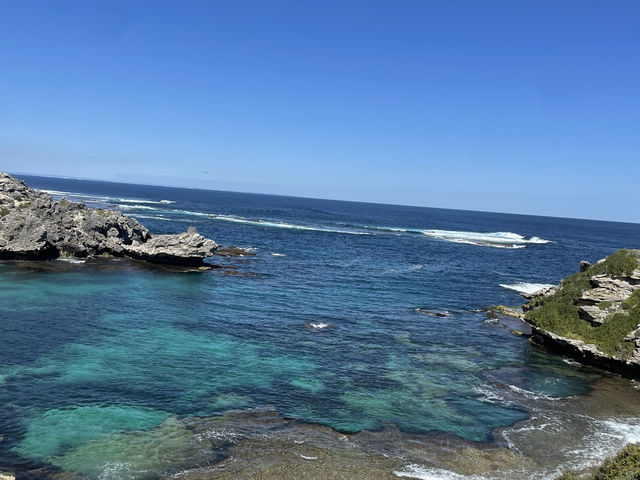 The wildest part of rottnest coast island