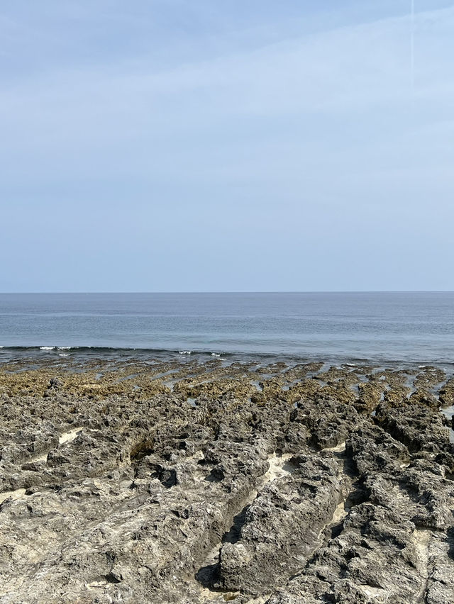 小琉球《海找冰》：坐在珊瑚海平台第一排，把海風喝進杯裡🪸☕️🌬️