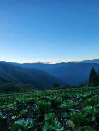 拉拉山國家森林遊樂區 一年四季都適合來訪的好去處。