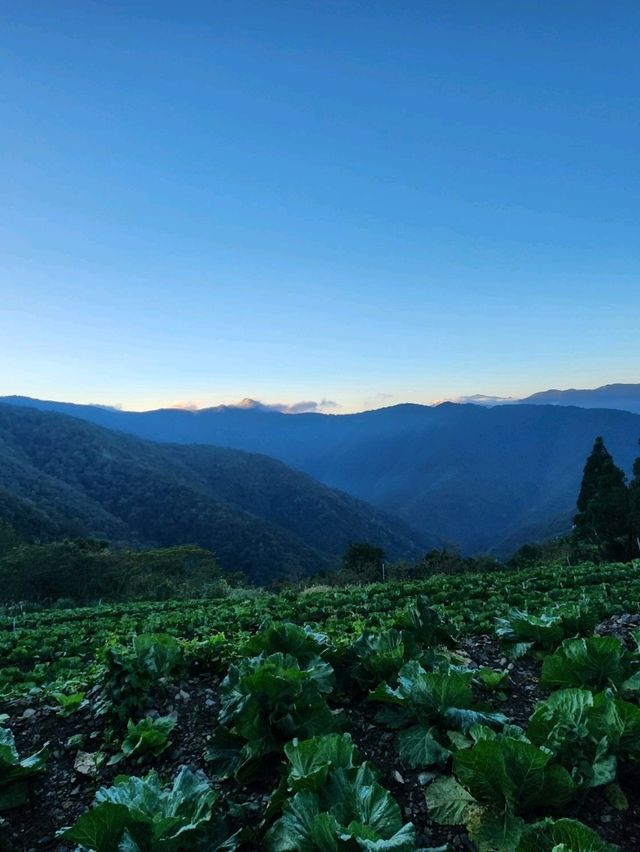 拉拉山國家森林遊樂區 一年四季都適合來訪的好去處。