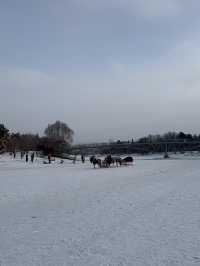 Volga Manor หมู่บ้านรัสเซีย Harbin 