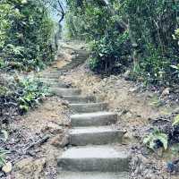 雙腳代替纜車：登太平山頂、爬『西高山』，一路看盡香港風光～