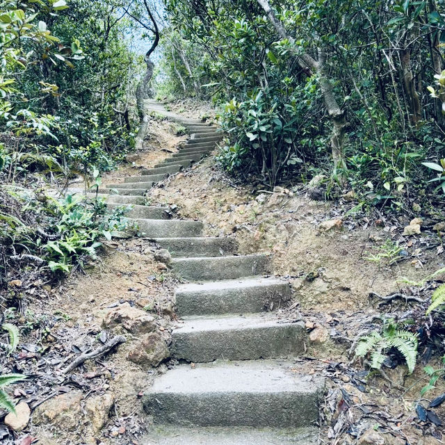 雙腳代替纜車：登太平山頂、爬『西高山』，一路看盡香港風光～