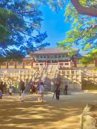 🏯 경주의 상징, 불국사와 첨성대 하루 여행 🌸
