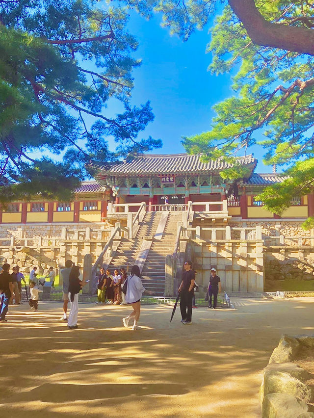 🏯 경주의 상징, 불국사와 첨성대 하루 여행 🌸
