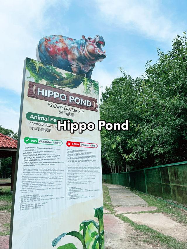 Unwind in Nature at Paya Indah Wetlands: Where Hippos Meet Serenity