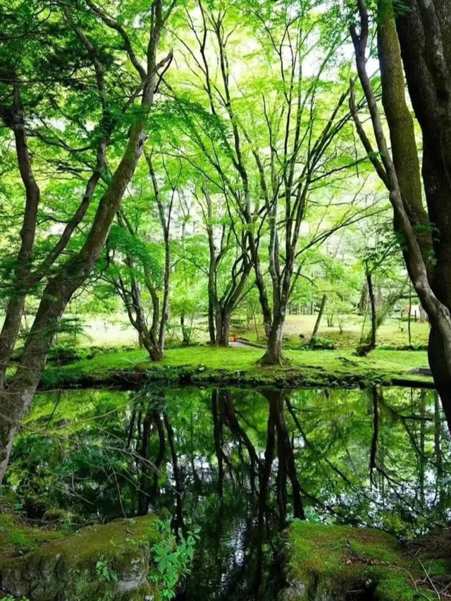 輕井澤🇯🇵高原教會