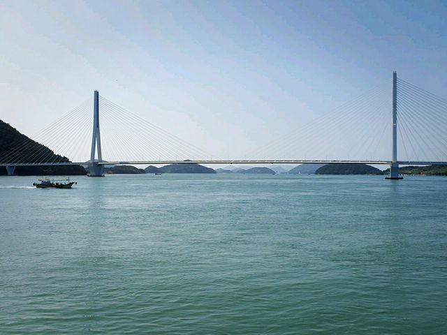 바다 위 흔들다리 🌊금오도 비렁길