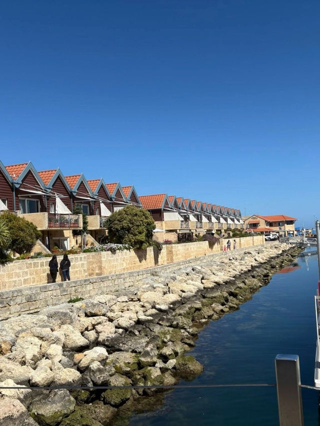 Seaside Charm : Hillary's Boat Harbour in Perth