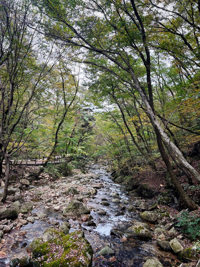 용문산 관광지 입구 풍경🍁