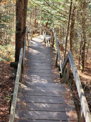 Hiking for Fresh Air and a Refreshing Experience