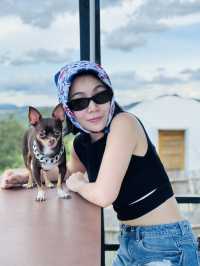 Moon Camp Khaoyai น้องหมาเข้าพักได้🐶