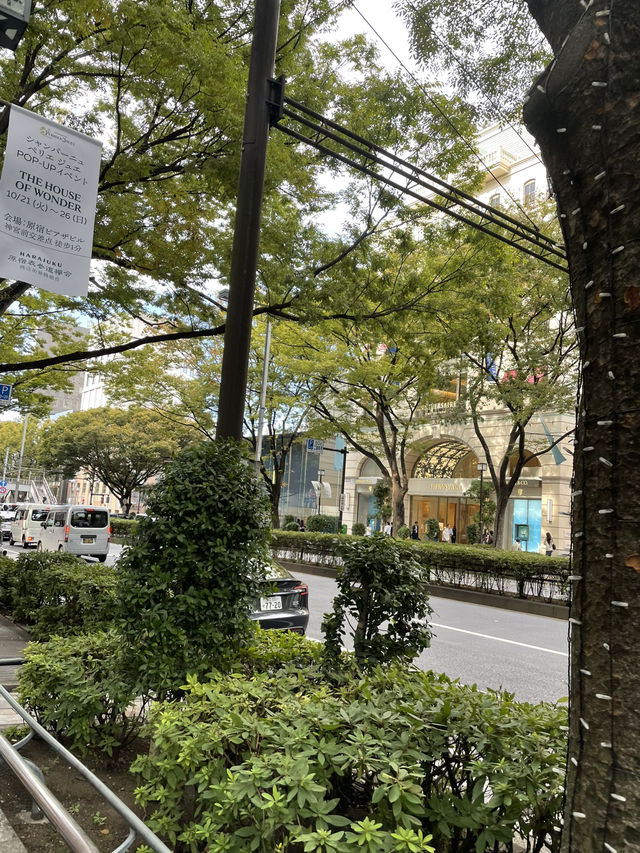 東京文青一日遊路線攻略 