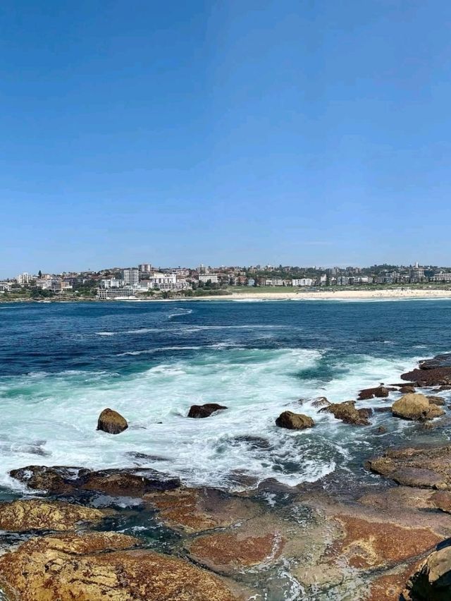 Sydney’s Sun Soaked Coastal Icon