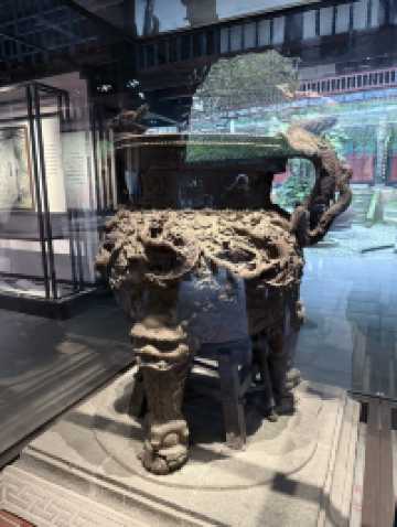 Nature Meets History🌳