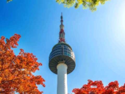 🇰🇷 SEOUL: Where Palaces Meet K-Pop Neon! ✨