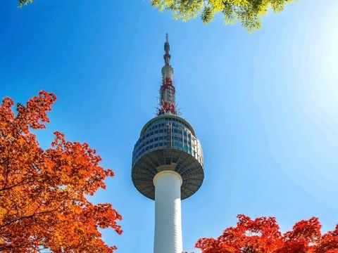 🇰🇷 SEOUL: Where Palaces Meet K-Pop Neon! ✨ 🇰🇷 SEOUL: Where Palaces Meet K-Pop Neon! ✨