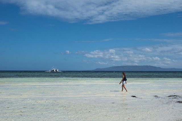 Doljo Beach - Starfish everywhere!